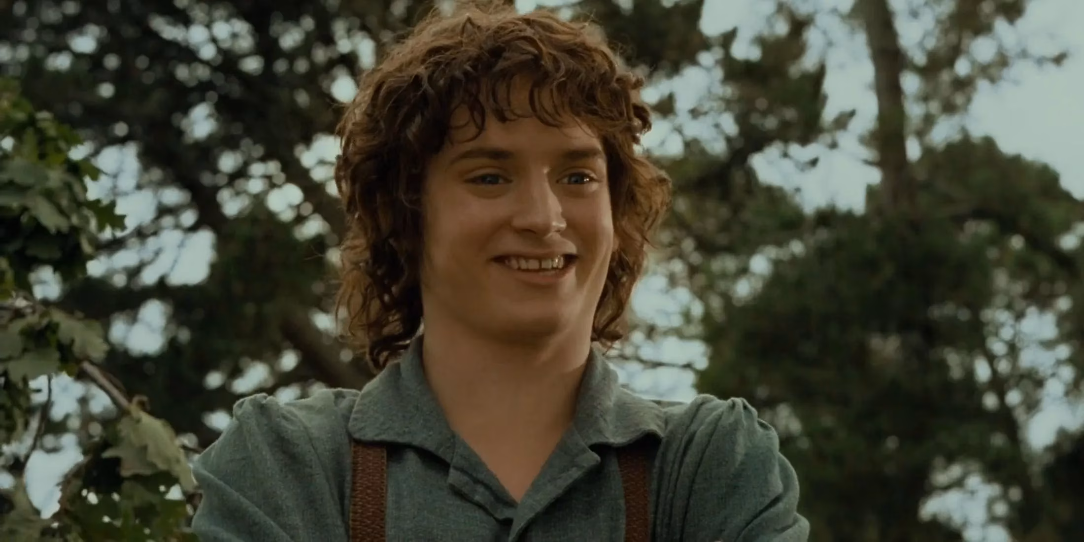 a-guardian-s-journey-from-the-last-city-to-the-shire-image-0